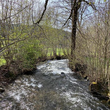 Schwarzwaldglueck Apartment Oberried  Bagian luar foto