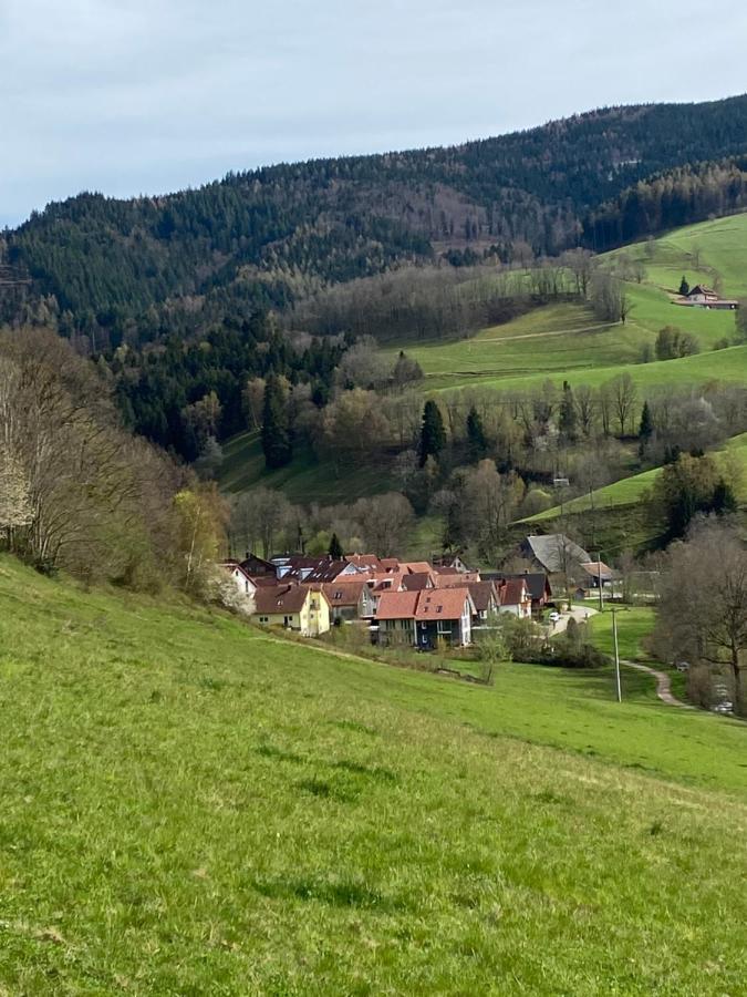 Schwarzwaldglueck Apartment Oberried  Bagian luar foto