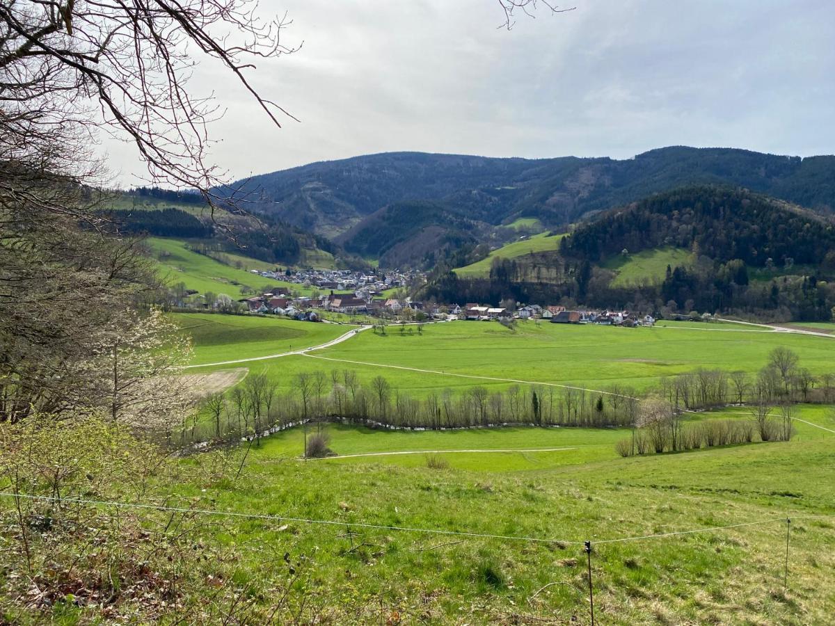 Schwarzwaldglueck Apartment Oberried  Bagian luar foto